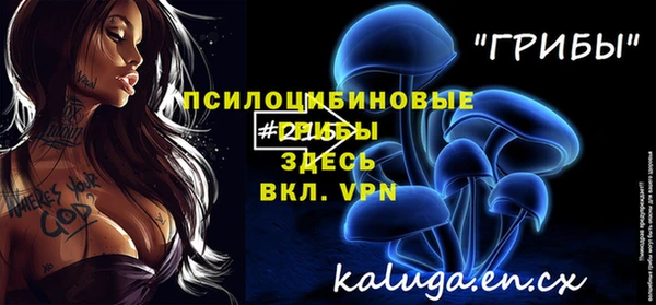 МДПВ Нефтегорск