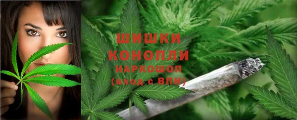 тгк Нефтекумск